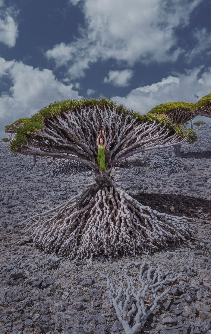 I Was Among the First Travelers To Socotra, And It Surpassed My Wildest Dreams (40 Pics)