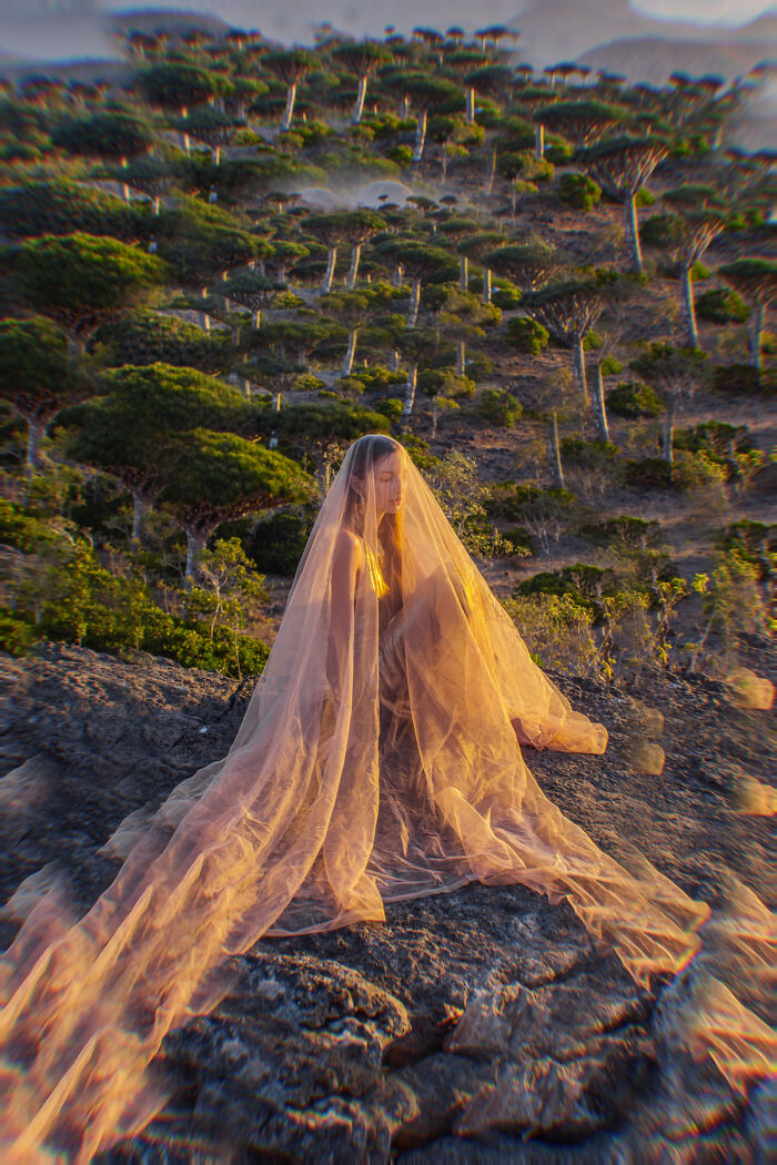 I Was Among the First Travelers To Socotra, And It Surpassed My Wildest Dreams (40 Pics)
