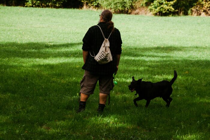 Hey Pandas, Knocked Down By A Neighbor’s Dog And Falsely Accused, How Should I Protect Myself?