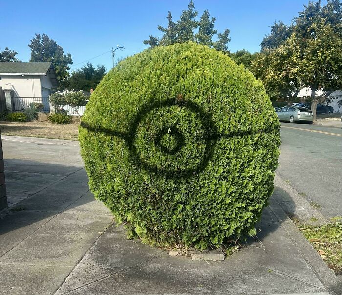 73 People Who Are Apparently Allergic To Acting Like Sensible Adults (New Pics)