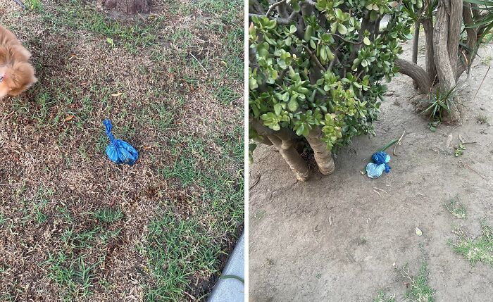 73 People Who Are Apparently Allergic To Acting Like Sensible Adults (New Pics)
