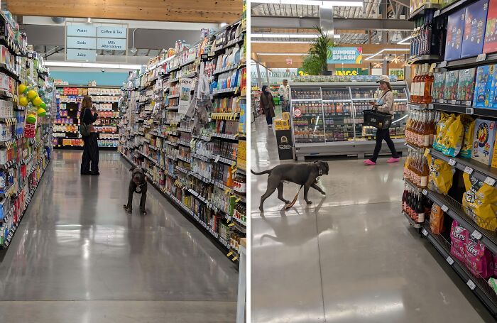 73 People Who Are Apparently Allergic To Acting Like Sensible Adults (New Pics)
