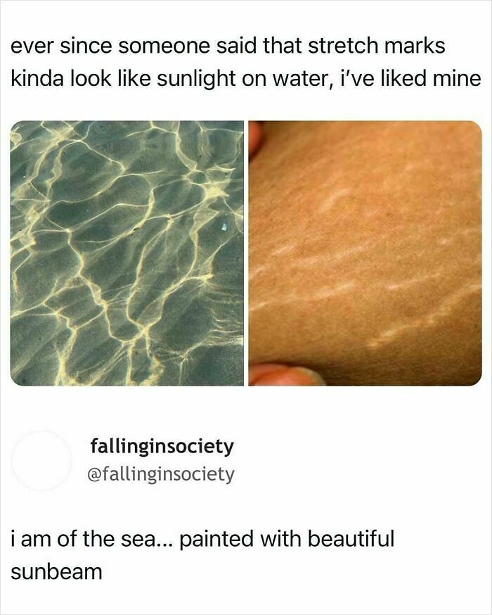 113 Pics To Give You Your Daily Serotonin Boost (New Pics) 113 Pics To Give You Your Daily Serotonin Boost (New Pics)