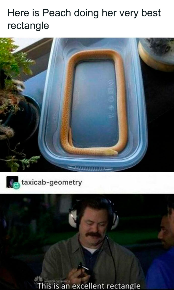 113 Pics To Give You Your Daily Serotonin Boost (New Pics) 113 Pics To Give You Your Daily Serotonin Boost (New Pics)