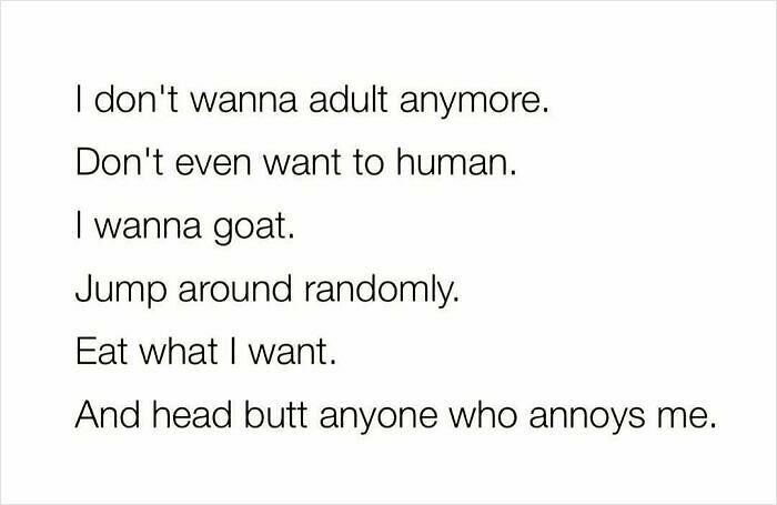 113 Pics To Give You Your Daily Serotonin Boost (New Pics) 113 Pics To Give You Your Daily Serotonin Boost (New Pics)