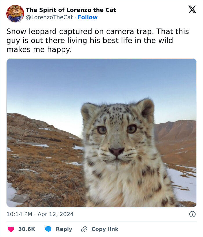 113 Pics To Give You Your Daily Serotonin Boost (New Pics) 113 Pics To Give You Your Daily Serotonin Boost (New Pics)