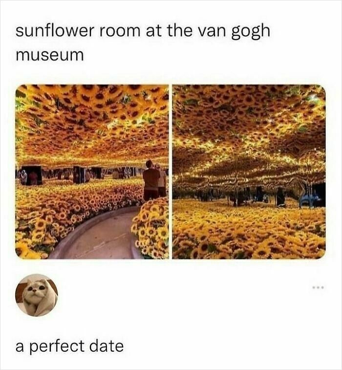 113 Pics To Give You Your Daily Serotonin Boost (New Pics) 113 Pics To Give You Your Daily Serotonin Boost (New Pics)