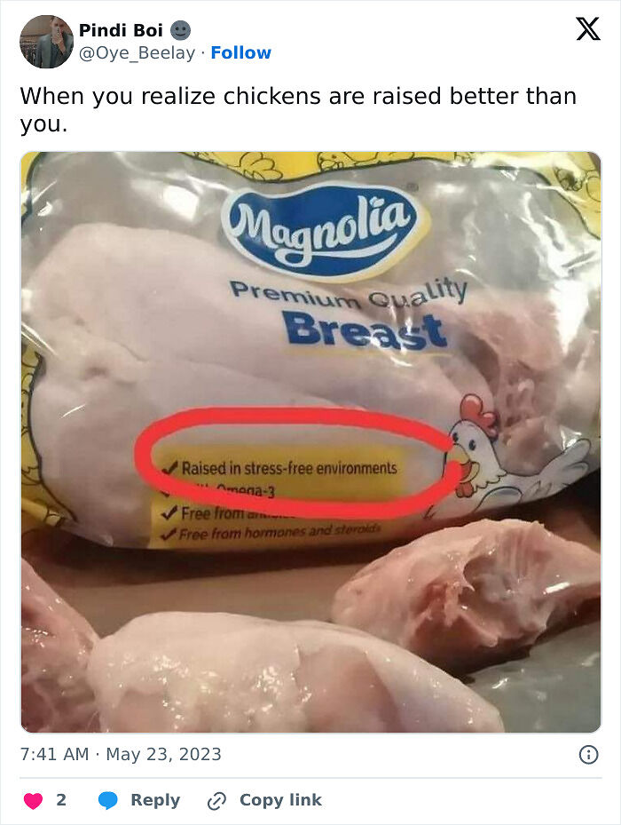 113 Pics To Give You Your Daily Serotonin Boost (New Pics) 113 Pics To Give You Your Daily Serotonin Boost (New Pics)