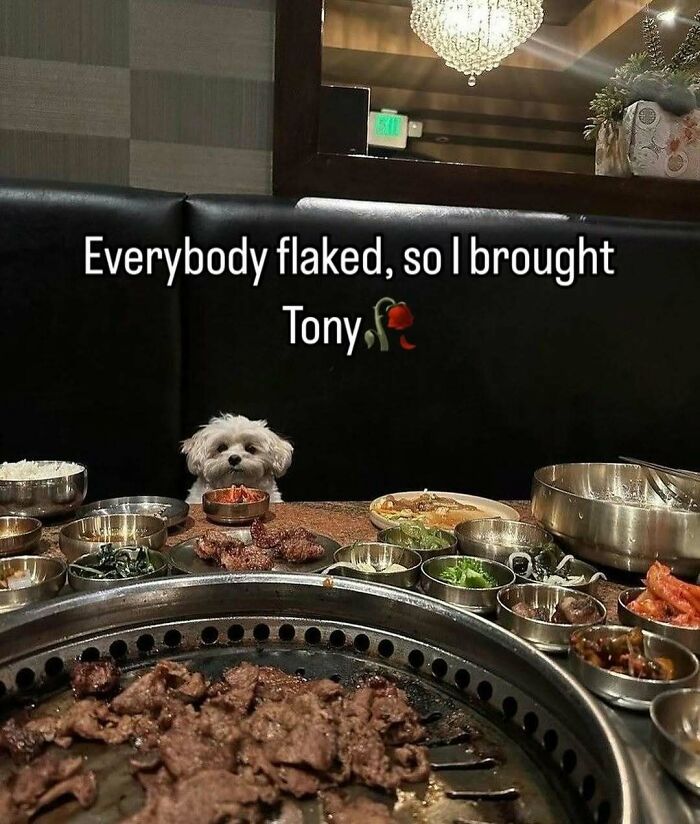 113 Pics To Give You Your Daily Serotonin Boost (New Pics) 113 Pics To Give You Your Daily Serotonin Boost (New Pics)