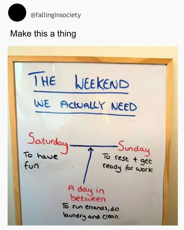 113 Pics To Give You Your Daily Serotonin Boost (New Pics) 113 Pics To Give You Your Daily Serotonin Boost (New Pics)