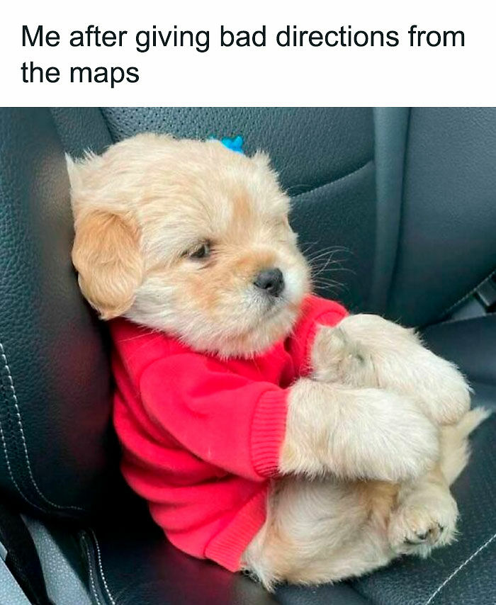 113 Pics To Give You Your Daily Serotonin Boost (New Pics) 113 Pics To Give You Your Daily Serotonin Boost (New Pics)