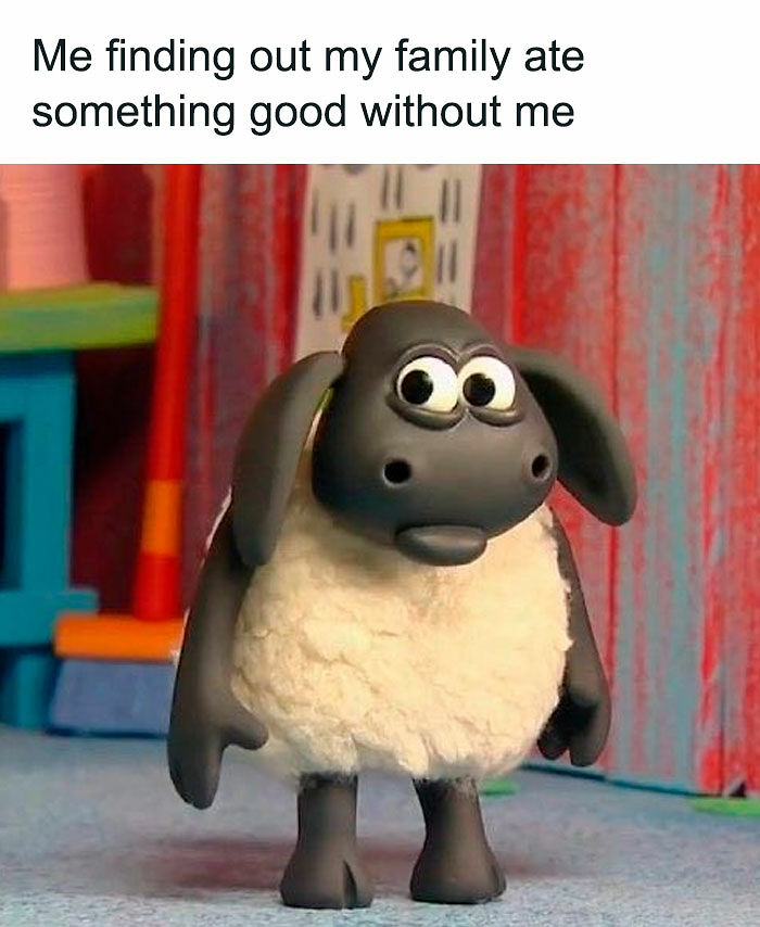 113 Pics To Give You Your Daily Serotonin Boost (New Pics) 113 Pics To Give You Your Daily Serotonin Boost (New Pics)