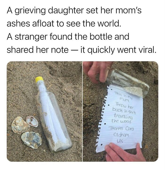 113 Pics To Give You Your Daily Serotonin Boost (New Pics) 113 Pics To Give You Your Daily Serotonin Boost (New Pics)