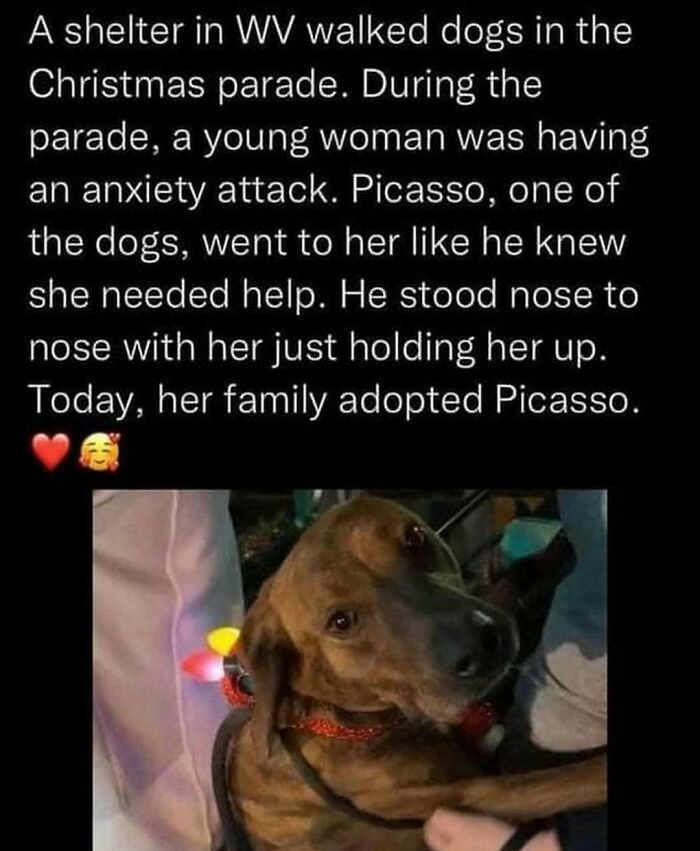 113 Pics To Give You Your Daily Serotonin Boost (New Pics) 113 Pics To Give You Your Daily Serotonin Boost (New Pics)