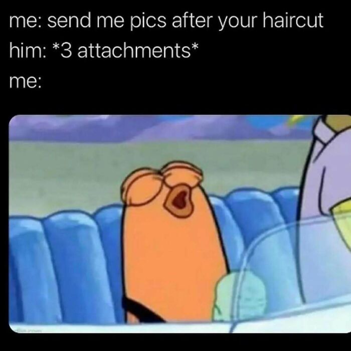 113 Pics To Give You Your Daily Serotonin Boost (New Pics) 113 Pics To Give You Your Daily Serotonin Boost (New Pics)