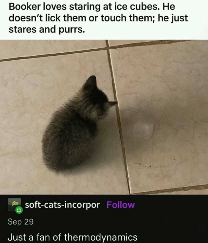 113 Pics To Give You Your Daily Serotonin Boost (New Pics) 113 Pics To Give You Your Daily Serotonin Boost (New Pics)