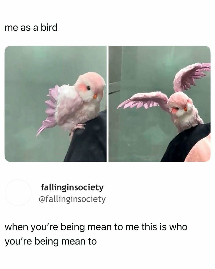 113 Pics To Give You Your Daily Serotonin Boost (New Pics) 113 Pics To Give You Your Daily Serotonin Boost (New Pics)