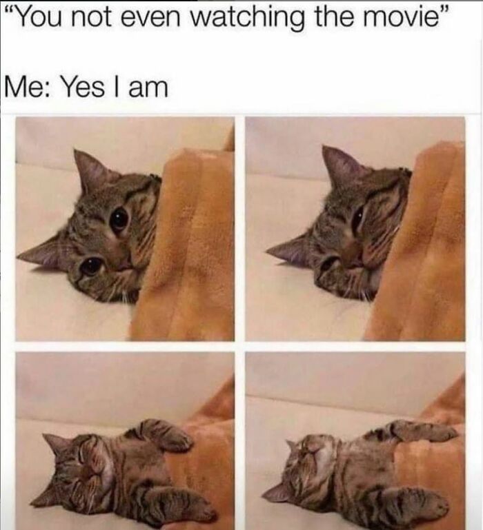 96 Hilarious And Relatable Memes That Perfectly Sum Up Relationships 96 Hilarious And Relatable Memes That Perfectly Sum Up Relationships