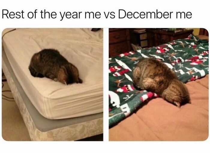 96 Hilarious And Relatable Memes That Perfectly Sum Up Relationships 96 Hilarious And Relatable Memes That Perfectly Sum Up Relationships