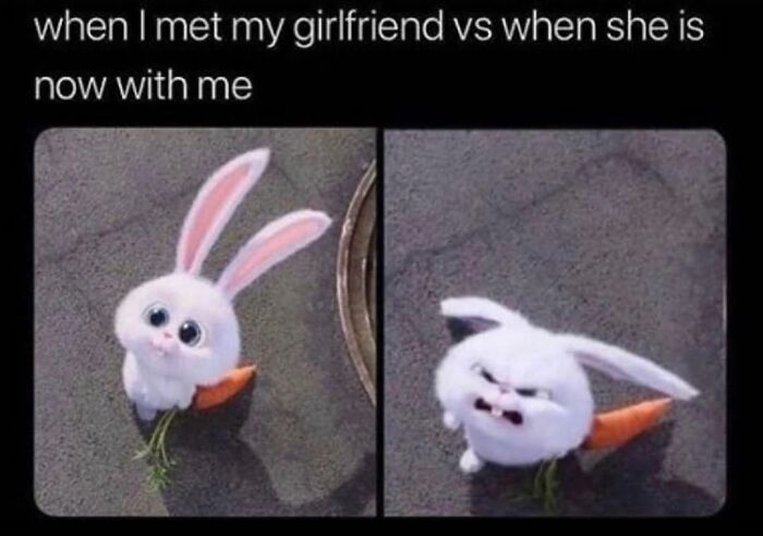 96 Hilarious And Relatable Memes That Perfectly Sum Up Relationships 96 Hilarious And Relatable Memes That Perfectly Sum Up Relationships