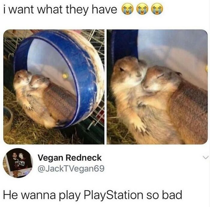 96 Hilarious And Relatable Memes That Perfectly Sum Up Relationships 96 Hilarious And Relatable Memes That Perfectly Sum Up Relationships