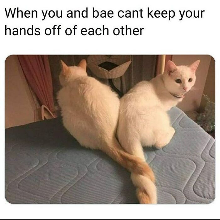 96 Hilarious And Relatable Memes That Perfectly Sum Up Relationships 96 Hilarious And Relatable Memes That Perfectly Sum Up Relationships