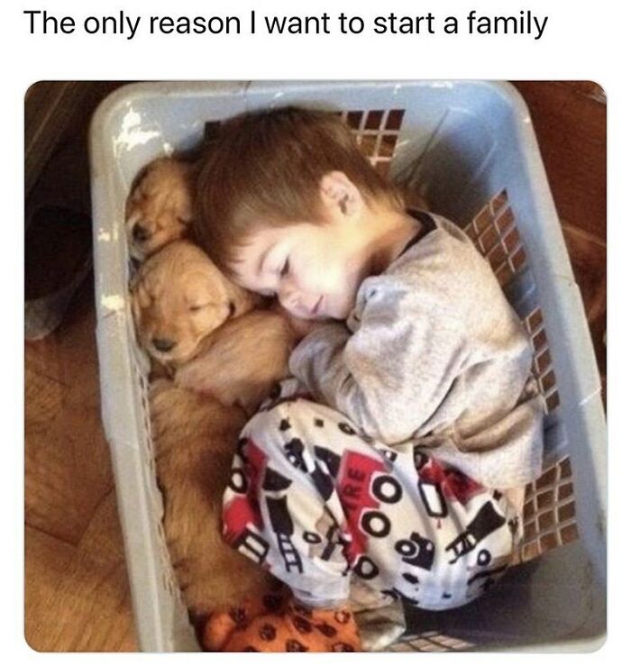 96 Hilarious And Relatable Memes That Perfectly Sum Up Relationships 96 Hilarious And Relatable Memes That Perfectly Sum Up Relationships