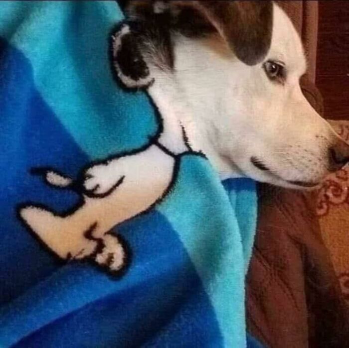 “Pleasures Of The Occult”: 144 Pics That Are So Out Of Context They’re Hilarious “Pleasures Of The Occult”: 144 Pics That Are So Out Of Context They’re Hilarious