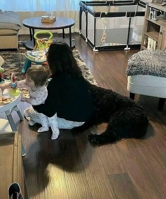 “Pleasures Of The Occult”: 144 Pics That Are So Out Of Context They’re Hilarious “Pleasures Of The Occult”: 144 Pics That Are So Out Of Context They’re Hilarious