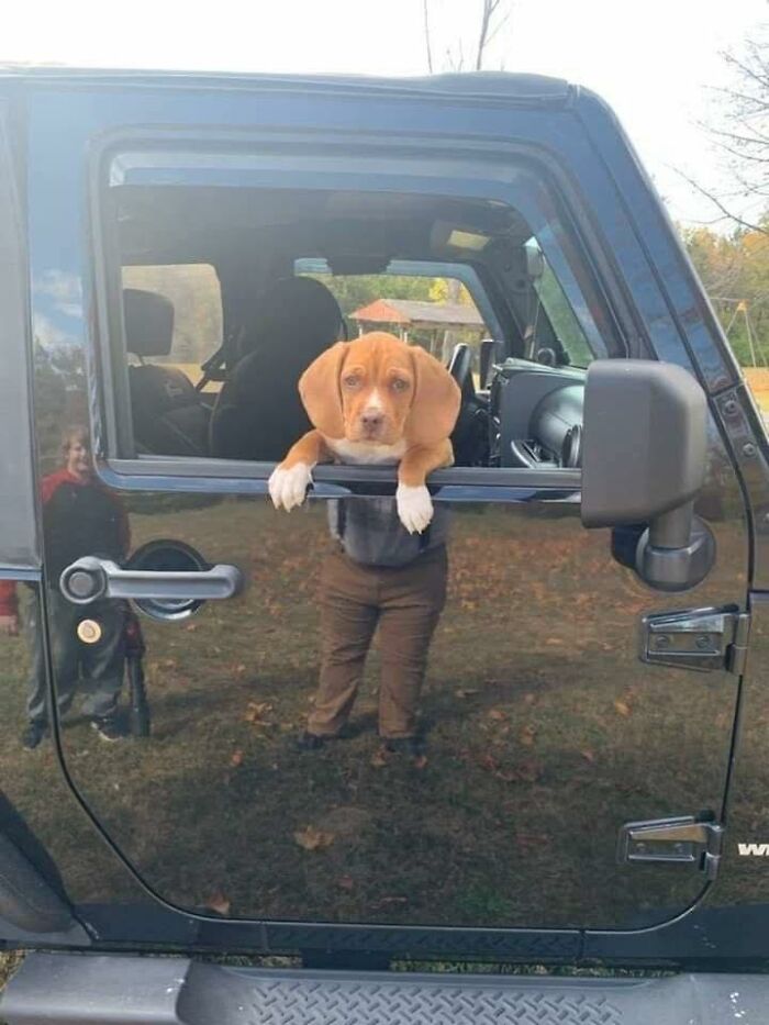 “Pleasures Of The Occult”: 144 Pics That Are So Out Of Context They’re Hilarious “Pleasures Of The Occult”: 144 Pics That Are So Out Of Context They’re Hilarious