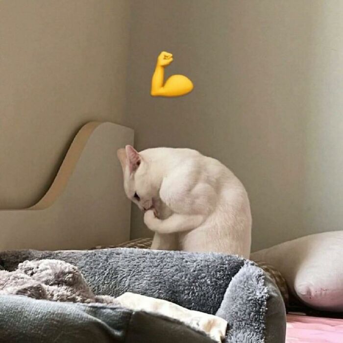 “Pleasures Of The Occult”: 144 Pics That Are So Out Of Context They’re Hilarious “Pleasures Of The Occult”: 144 Pics That Are So Out Of Context They’re Hilarious