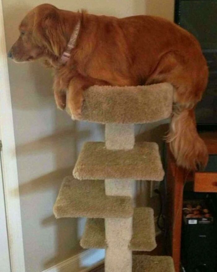 “Pleasures Of The Occult”: 144 Pics That Are So Out Of Context They’re Hilarious “Pleasures Of The Occult”: 144 Pics That Are So Out Of Context They’re Hilarious