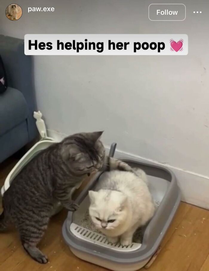 “Pleasures Of The Occult”: 144 Pics That Are So Out Of Context They’re Hilarious “Pleasures Of The Occult”: 144 Pics That Are So Out Of Context They’re Hilarious