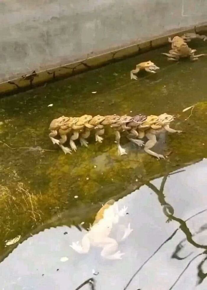 “Pleasures Of The Occult”: 144 Pics That Are So Out Of Context They’re Hilarious “Pleasures Of The Occult”: 144 Pics That Are So Out Of Context They’re Hilarious