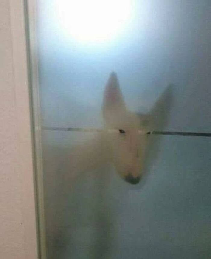 “Pleasures Of The Occult”: 144 Pics That Are So Out Of Context They’re Hilarious “Pleasures Of The Occult”: 144 Pics That Are So Out Of Context They’re Hilarious