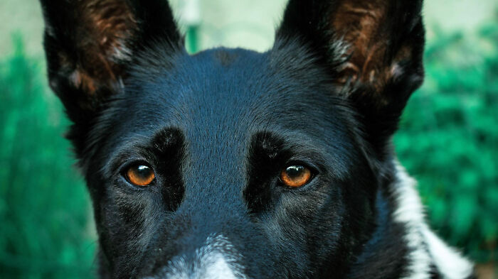 “Tiny Pale Hand”: 45 Terrifying Things People Witnessed Or Experienced In Their Own House “Tiny Pale Hand”: 45 Terrifying Things People Witnessed Or Experienced In Their Own House