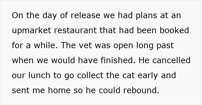 Man Cancels Date And Vacay With GF For His Sick Cat, She&#8217;s Irked He Never Puts Her Before The Pet