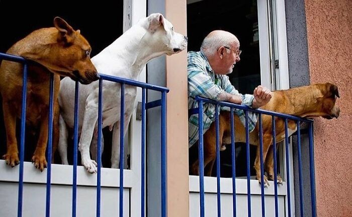 Faces Of Experience: Stunning Photos That Celebrate The Lives Of Older Generations (40 Pics)