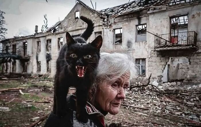 Faces Of Experience: Stunning Photos That Celebrate The Lives Of Older Generations (40 Pics)