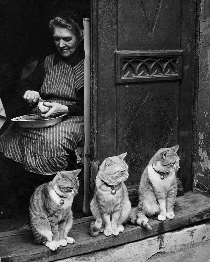 Faces Of Experience: Stunning Photos That Celebrate The Lives Of Older Generations (40 Pics)