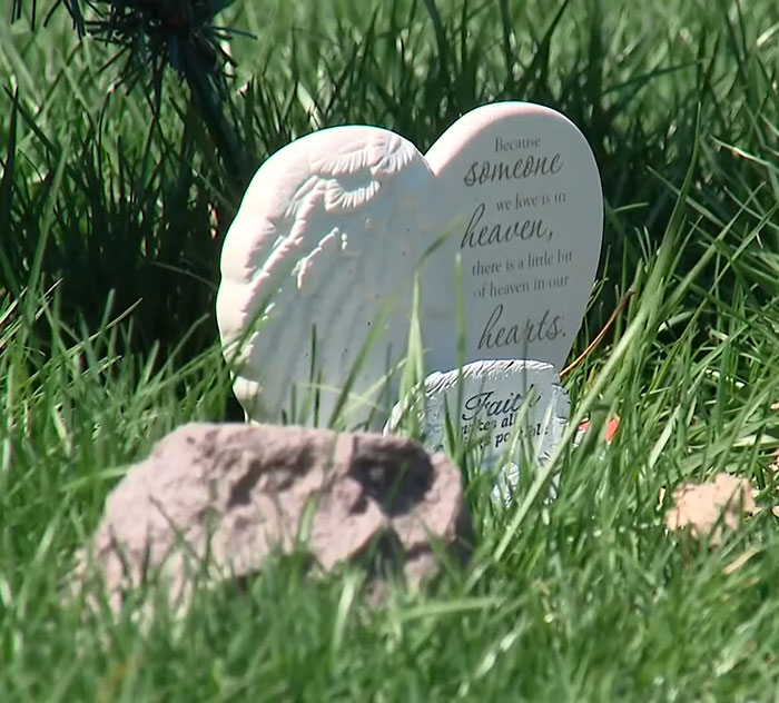 After Pit Bull’s ‘Horror’ Attack On 6-Month-Old Baby, Father Pleads Guilty After Pit Bull’s ‘Horror’ Attack On 6-Month-Old Baby, Father Pleads Guilty