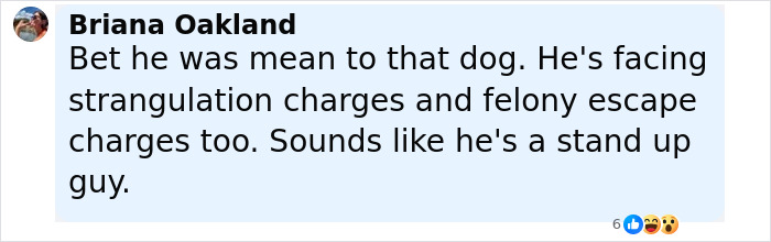 After Pit Bull’s ‘Horror’ Attack On 6-Month-Old Baby, Father Pleads Guilty After Pit Bull’s ‘Horror’ Attack On 6-Month-Old Baby, Father Pleads Guilty