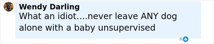 After Pit Bull’s ‘Horror’ Attack On 6-Month-Old Baby, Father Pleads Guilty After Pit Bull’s ‘Horror’ Attack On 6-Month-Old Baby, Father Pleads Guilty