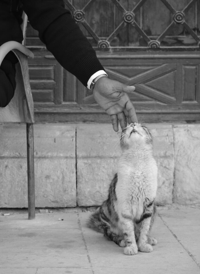 147 Stunning Street Photos That Capture Life’s Most Authentic Moments
