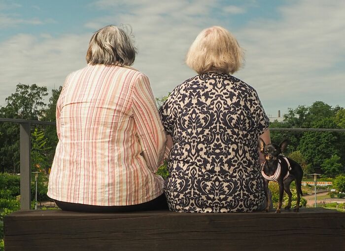 147 Stunning Street Photos That Capture Life’s Most Authentic Moments