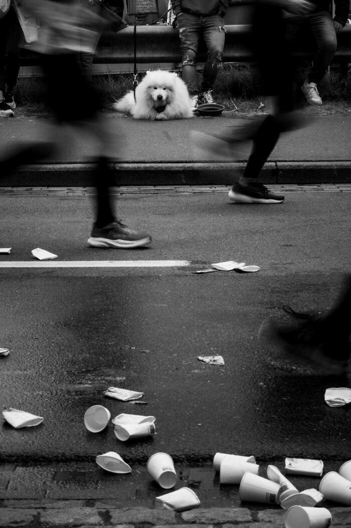 147 Stunning Street Photos That Capture Life’s Most Authentic Moments