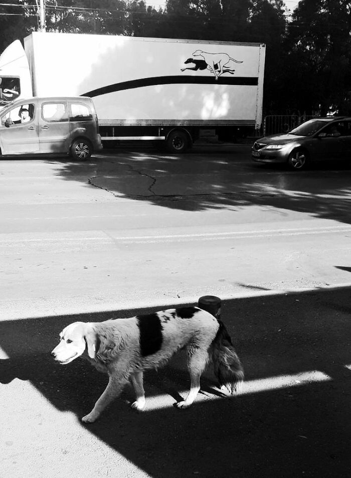 147 Stunning Street Photos That Capture Life’s Most Authentic Moments