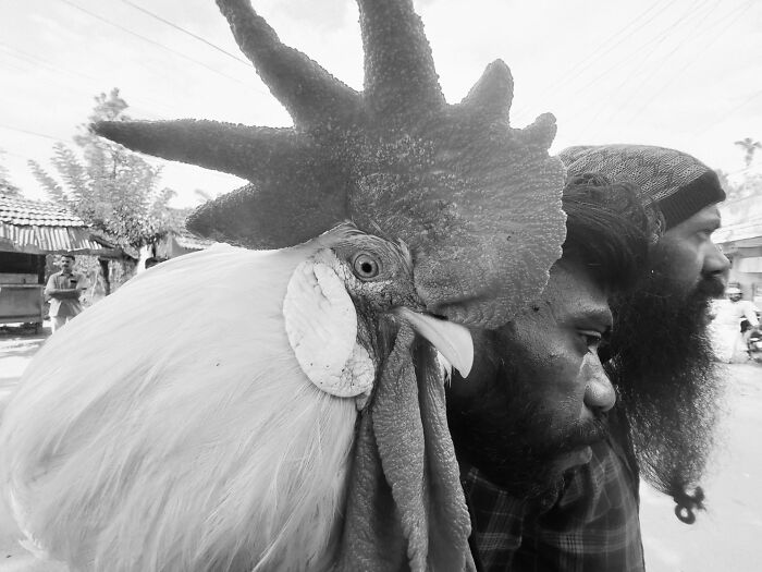 147 Stunning Street Photos That Capture Life’s Most Authentic Moments