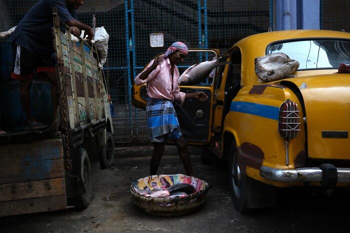 147 Stunning Street Photos That Capture Life’s Most Authentic Moments