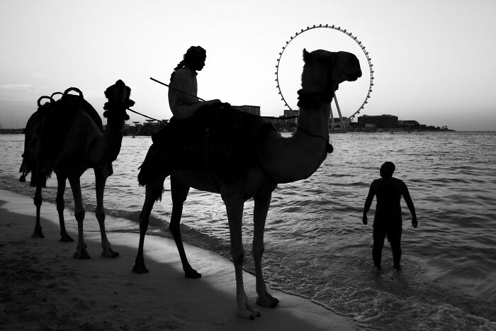 147 Stunning Street Photos That Capture Life’s Most Authentic Moments